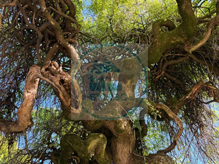 Immagine 21 di Villa in vendita  in VIA ARIOSTO a Scorzè