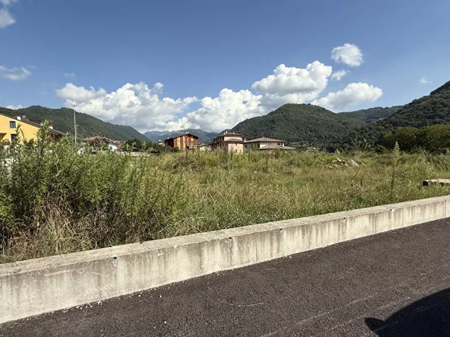 Immagine 3 di Terreno in vendita  a Badia Calavena