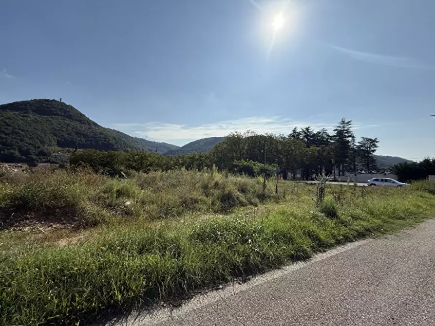 Immagine 5 di Terreno in vendita  a Badia Calavena