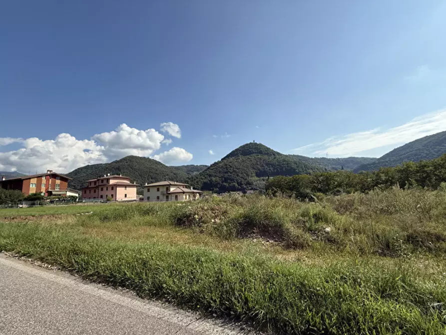 Immagine 6 di Terreno in vendita  a Badia Calavena