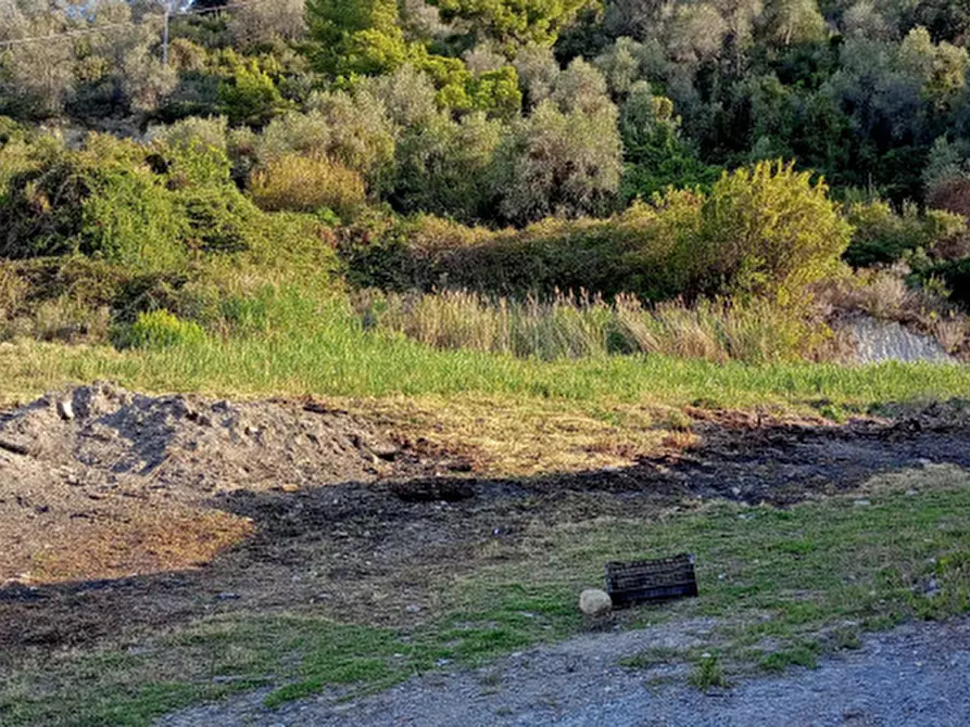 Immagine 3 di Terreno in vendita  in Via frantoi canai a San Remo