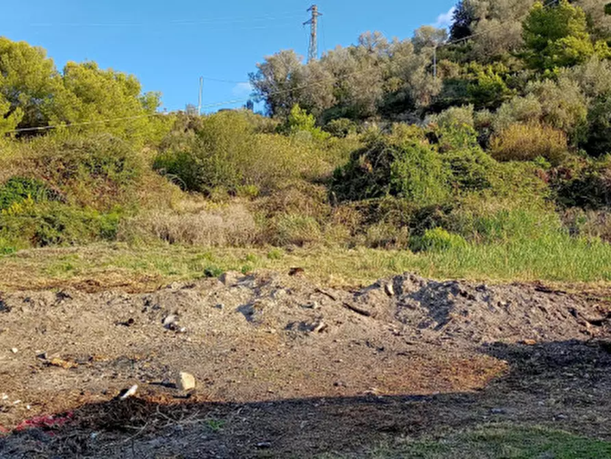 Immagine 4 di Terreno in vendita  in Via frantoi canai a San Remo