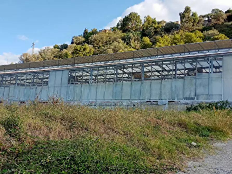 Immagine 7 di Terreno in vendita  in Via frantoi canai a San Remo