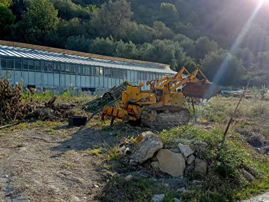 Immagine 17 di Terreno in vendita  in Via frantoi canai a San Remo