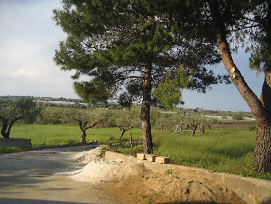 Immagine 16 di Casa indipendente in vendita  in Strada Provinciale Saline Panze Longarini a Noto