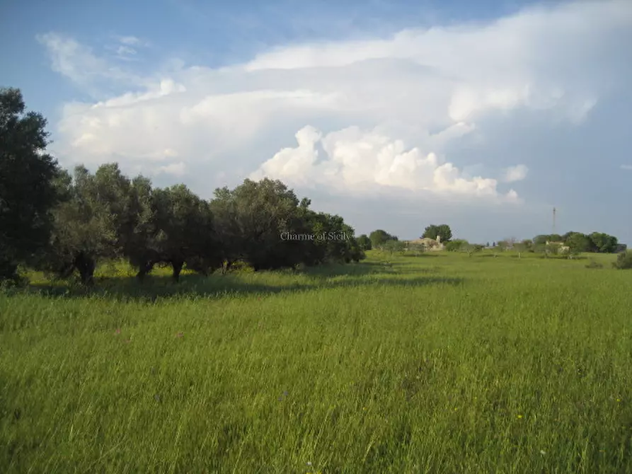 Immagine 20 di Casa indipendente in vendita  in Strada Provinciale Saline Panze Longarini a Noto