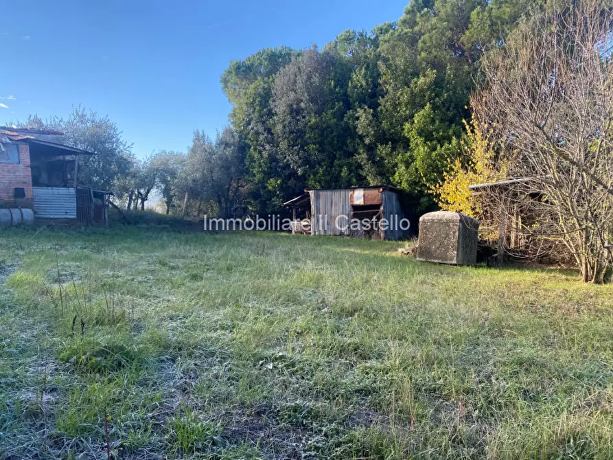 Immagine 1 di Rustico / casale in vendita  a Castiglione Del Lago