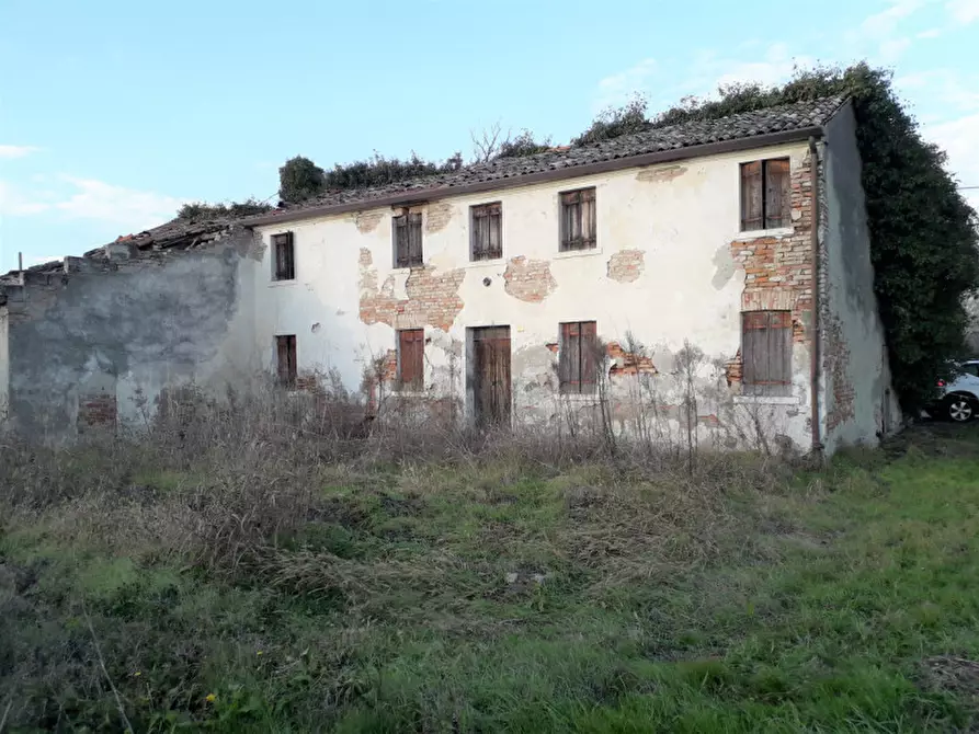 Immagine 1 di Rustico / casale in vendita  a Lendinara