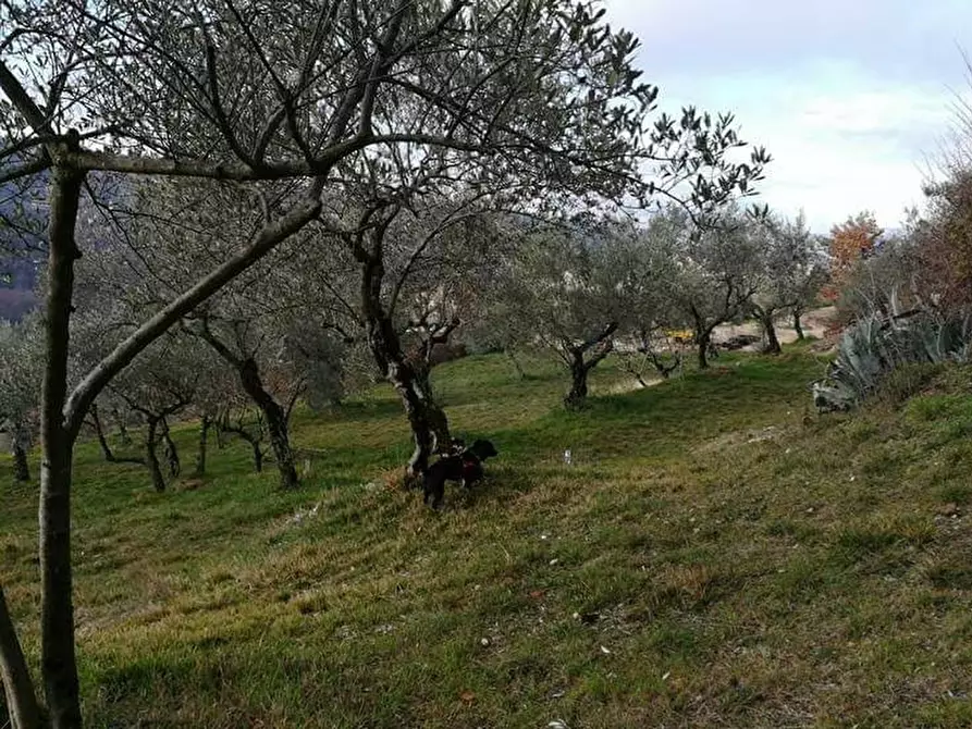 Immagine 2 di Rustico / casale in vendita  a Fontechiari