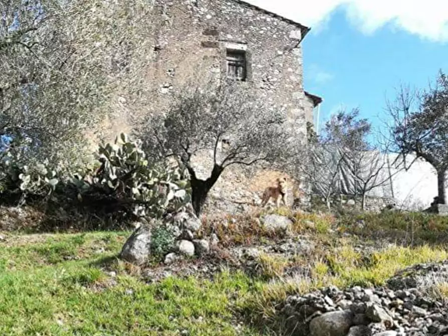 Immagine 3 di Rustico / casale in vendita  a Fontechiari