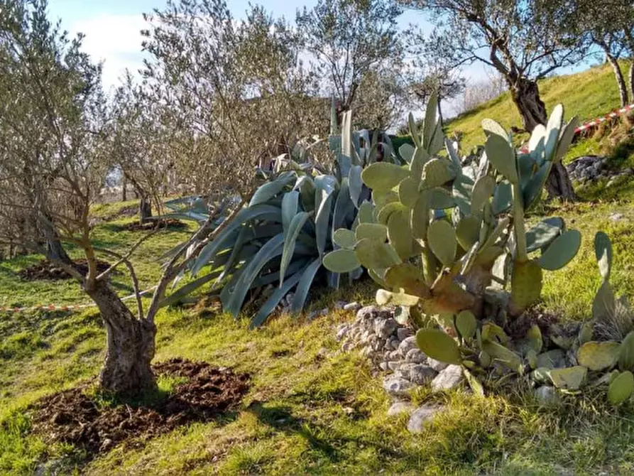 Immagine 8 di Rustico / casale in vendita  a Fontechiari