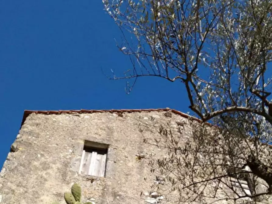 Immagine 9 di Rustico / casale in vendita  a Fontechiari