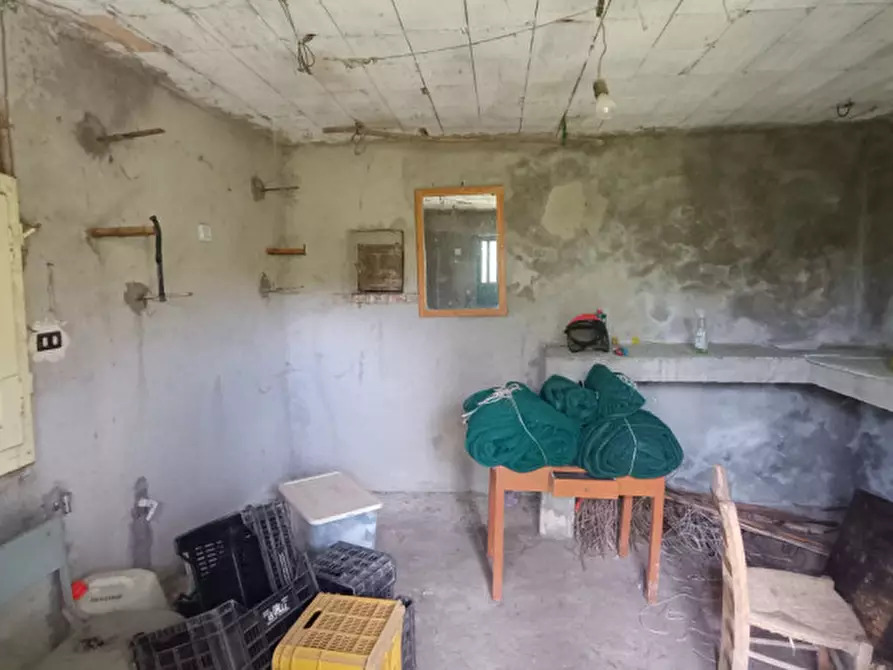 Immagine 13 di Rustico / casale in vendita  a Fontechiari