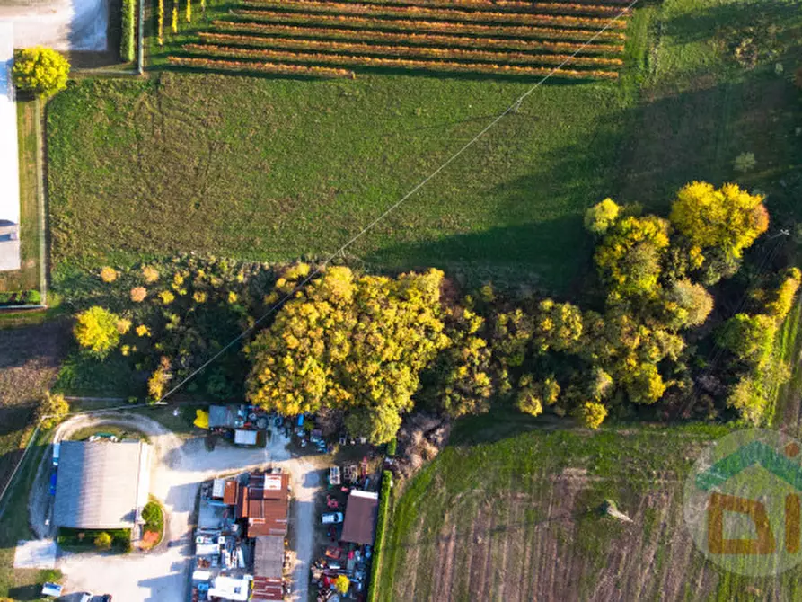 Immagine 15 di Terreno in vendita  in via Cascina Rinaldi 34 a San Giovanni Al Natisone