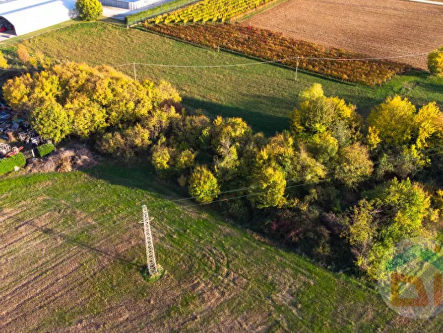 Immagine 20 di Terreno in vendita  in via Cascina Rinaldi 34 a San Giovanni Al Natisone