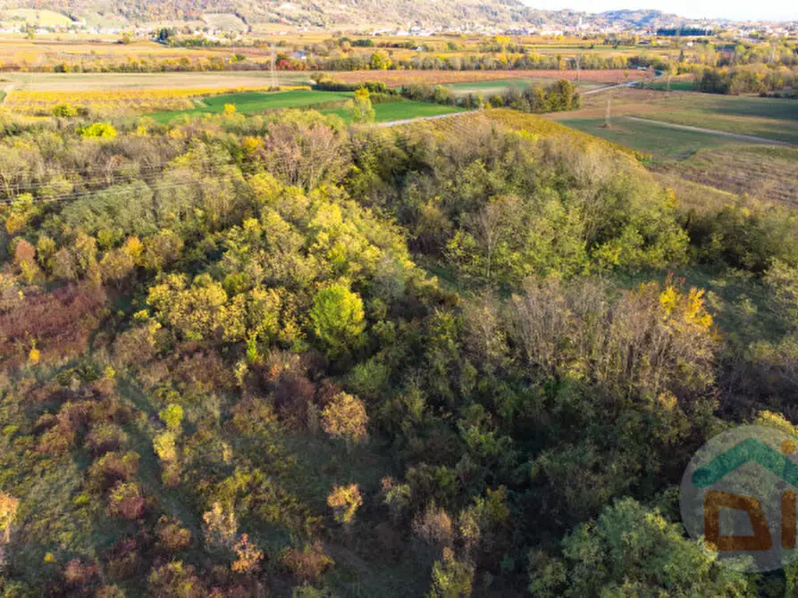 Immagine 7 di Terreno in vendita  in via Cascina Rinaldi 34 a San Giovanni Al Natisone