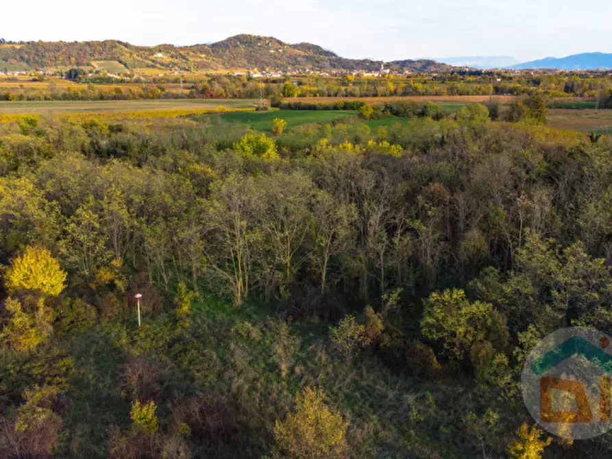 Immagine 8 di Terreno in vendita  in via Cascina Rinaldi 34 a San Giovanni Al Natisone