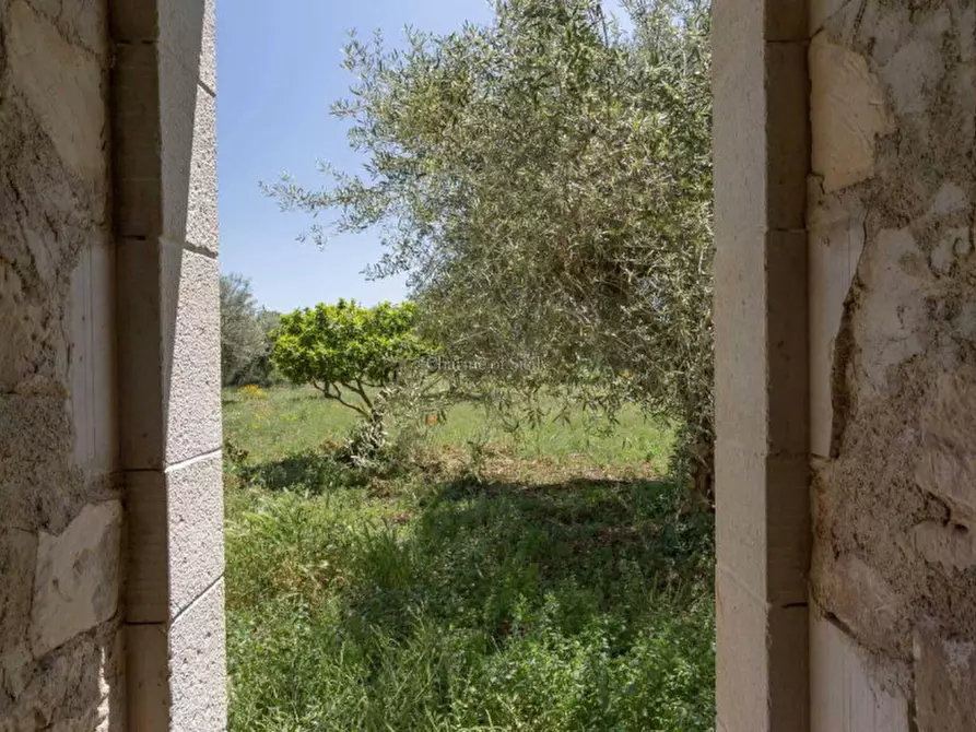 Immagine 14 di Rustico / casale in vendita  in Via Comunale Sant'Elena Pizzilli a Modica