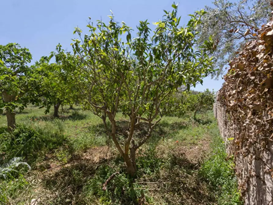 Immagine 38 di Rustico / casale in vendita  in Via Comunale Sant'Elena Pizzilli a Modica