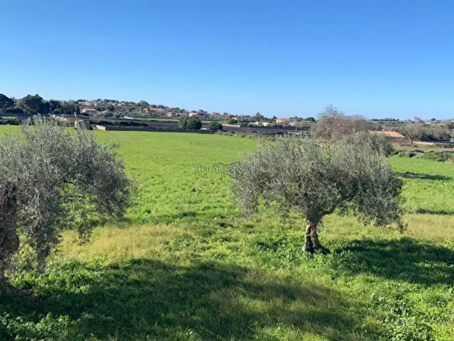 Immagine 42 di Rustico / casale in vendita  in Via Comunale Sant'Elena Pizzilli a Modica