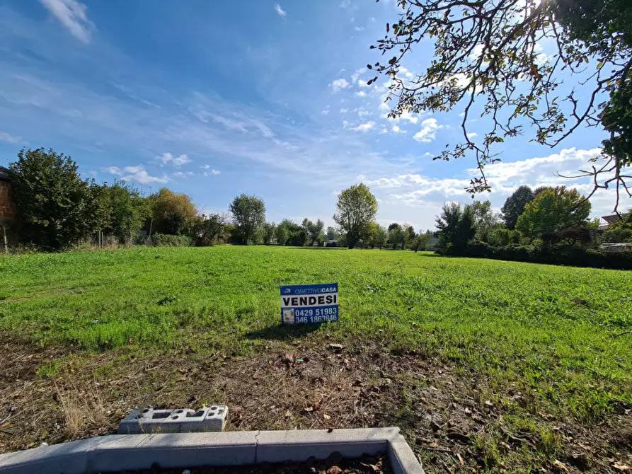 Immagine 2 di Terreno in vendita  in VIA ESTE a Masi