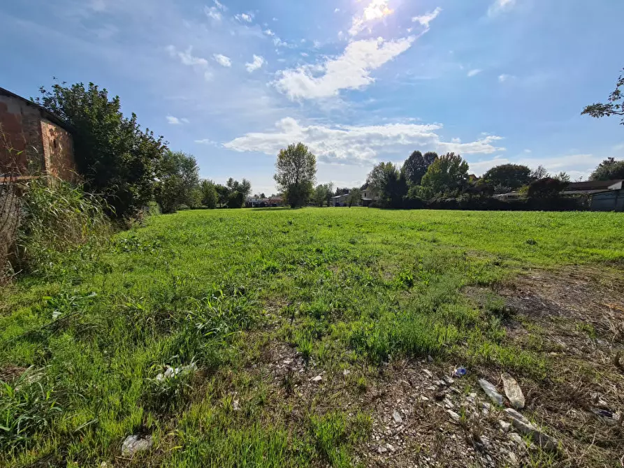 Immagine 6 di Terreno in vendita  in VIA ESTE a Masi