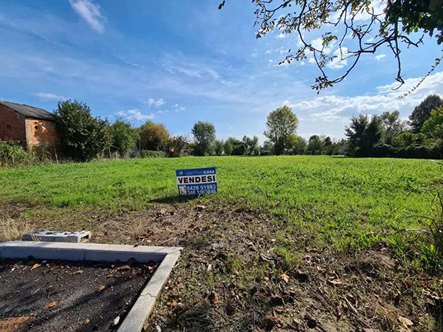 Immagine 7 di Terreno in vendita  in VIA ESTE a Masi