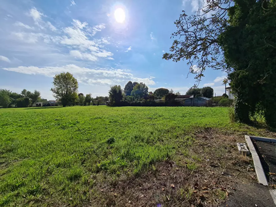 Immagine 8 di Terreno in vendita  in VIA ESTE a Masi