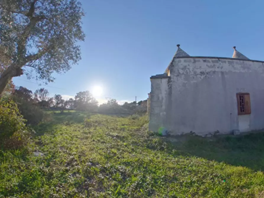 Immagine 23 di Rustico / casale in vendita  a Cisternino