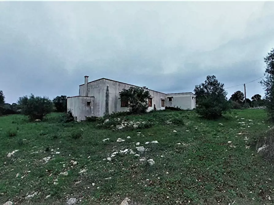 Immagine 69 di Rustico / casale in vendita  a Cisternino