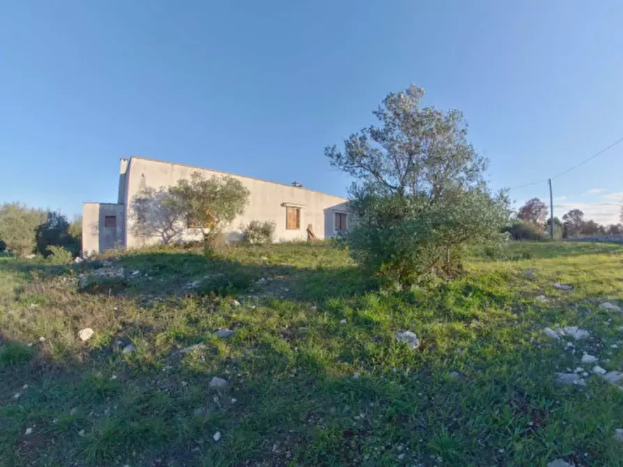 Immagine 70 di Rustico / casale in vendita  a Cisternino