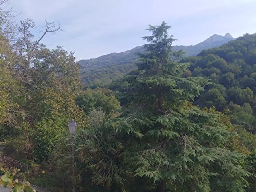 Immagine 44 di Casa indipendente in vendita  in VIA TRENTO, 3 a Novara Di Sicilia