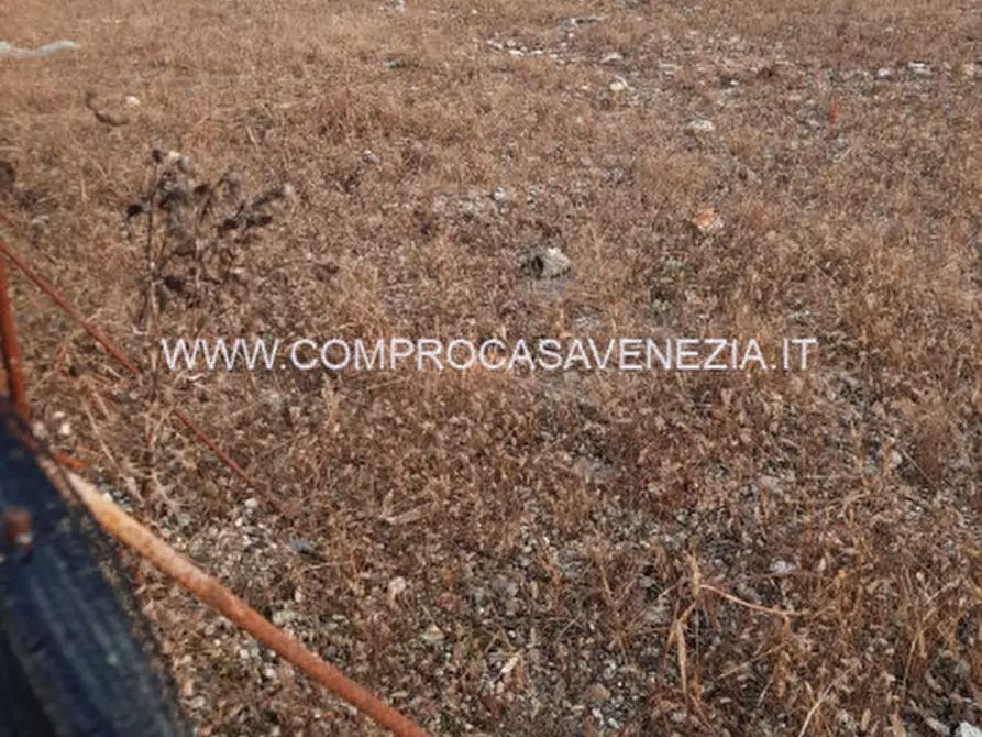 Immagine 2 di Terreno in vendita  in Morea a Casale Sul Sile