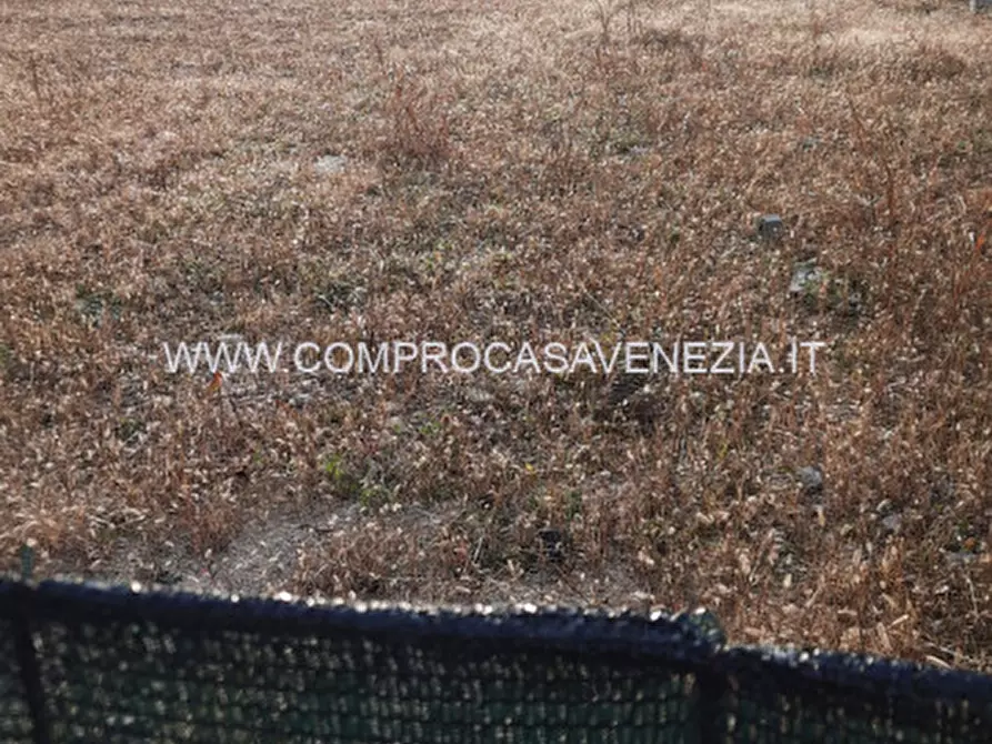 Immagine 3 di Terreno in vendita  in Morea a Casale Sul Sile