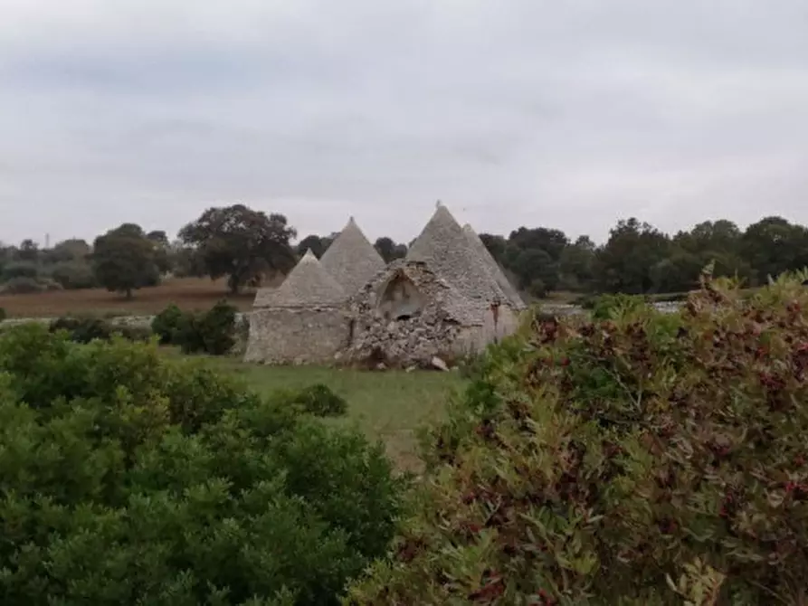 Immagine 29 di Rustico / casale in vendita  in Trito a Locorotondo