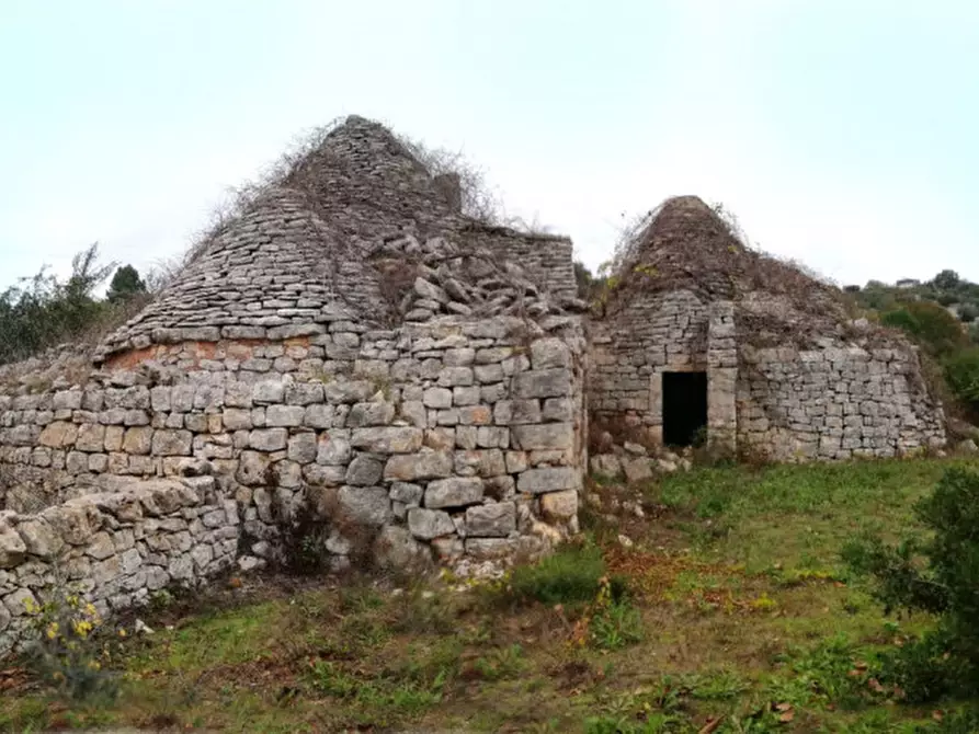 Immagine 33 di Rustico / casale in vendita  in Trito a Locorotondo