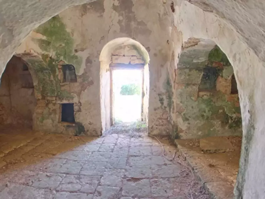 Immagine 37 di Rustico / casale in vendita  in Trito a Locorotondo