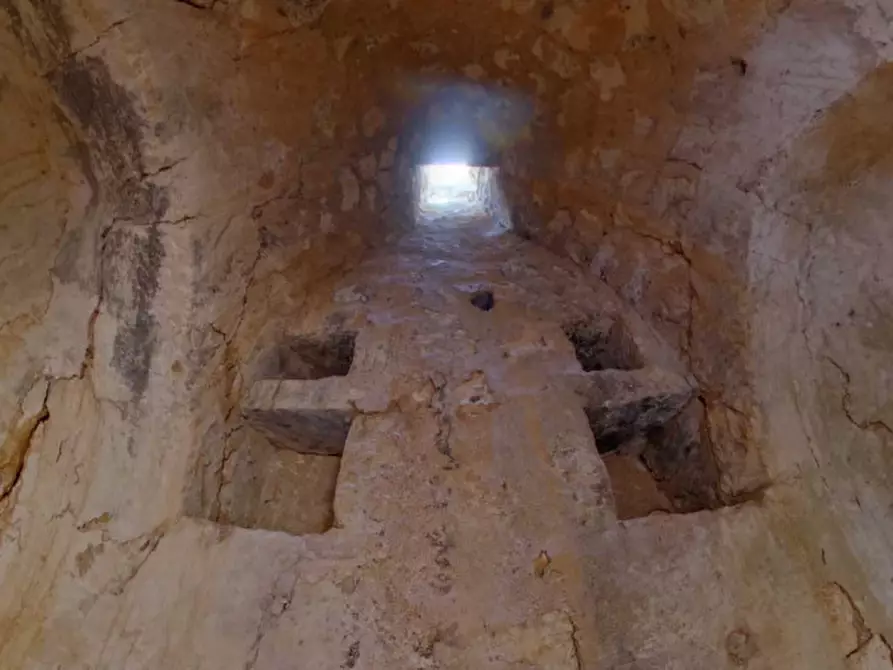 Immagine 39 di Rustico / casale in vendita  in Trito a Locorotondo