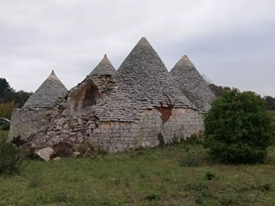 Immagine 43 di Rustico / casale in vendita  in Trito a Locorotondo