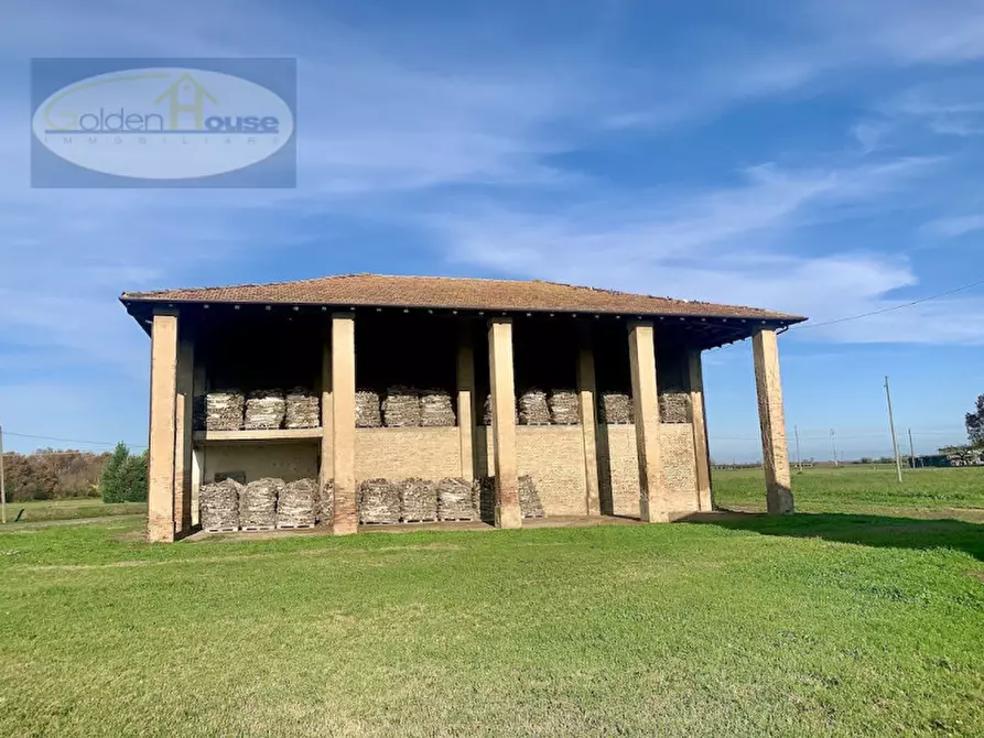 Immagine 5 di Rustico / casale in vendita  in Via Pilastrina a Argenta