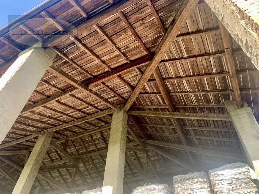 Immagine 6 di Rustico / casale in vendita  in Via Pilastrina a Argenta