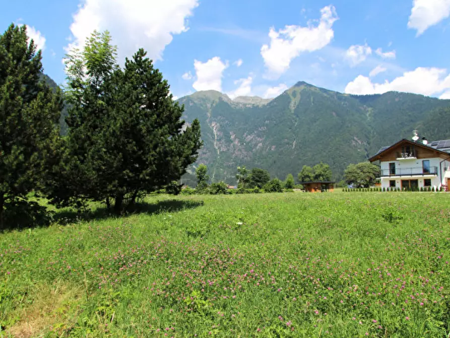 Immagine 1 di Hotel in vendita  in Via dei Mulini a Pinzolo