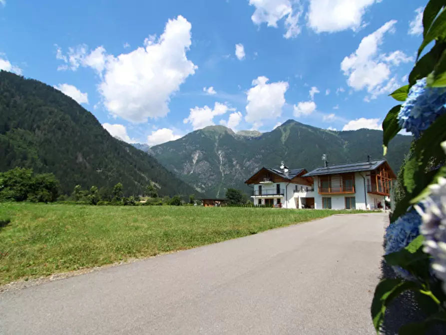 Immagine 5 di Hotel in vendita  in Via dei Mulini a Pinzolo