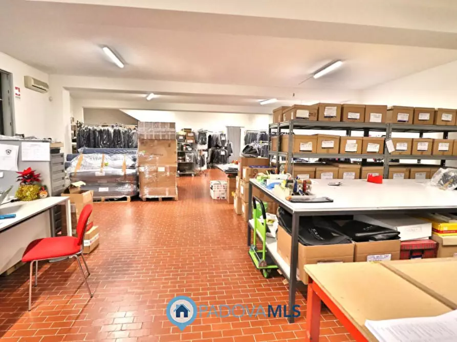 Immagine 5 di Magazzino in vendita  in Via Podestarile n. 2/A a Padova