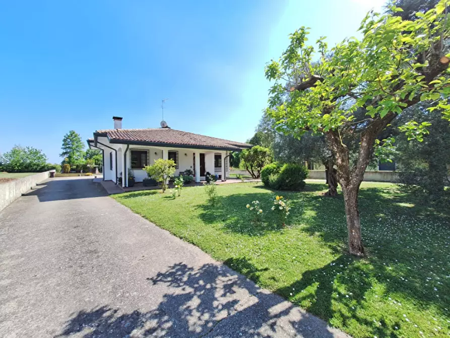 Immagine 1 di Villa in vendita  in Via San Michele del Carso a Rovigo