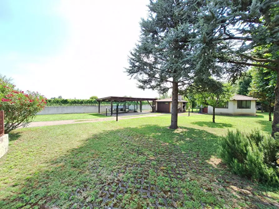 Immagine 46 di Villa in vendita  in Via San Michele del Carso a Rovigo