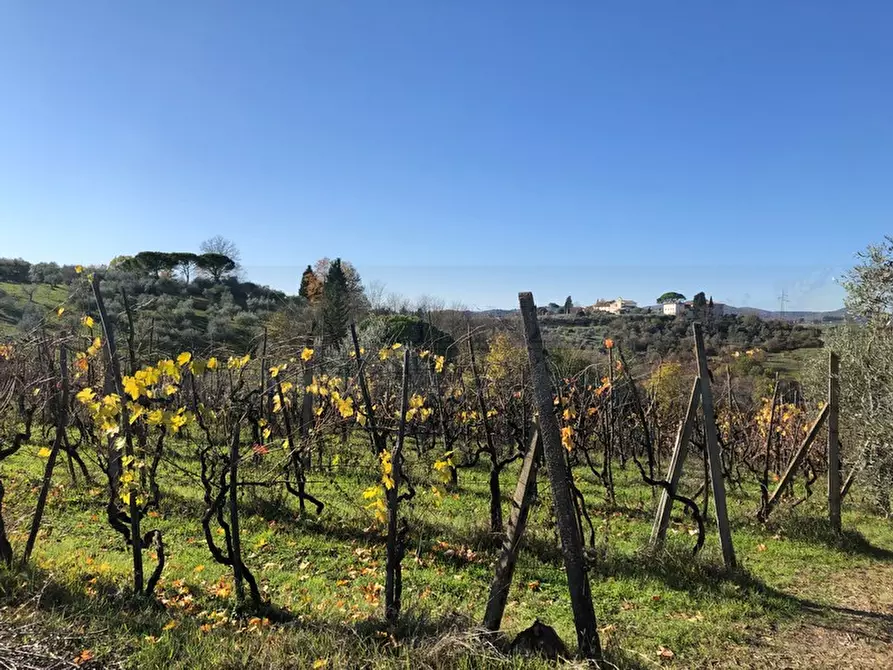 Immagine 5 di Terreno in vendita  in Le Rose a Impruneta