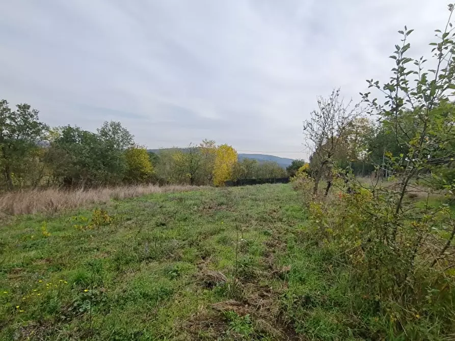 Immagine 25 di Villetta a schiera in vendita  in san martino a Bucine