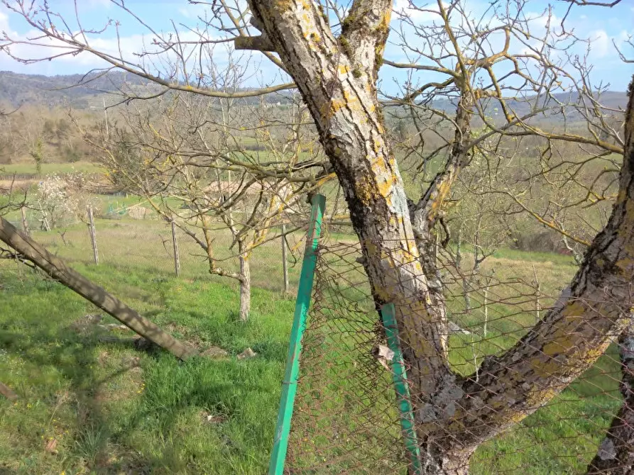 Immagine 36 di Villetta a schiera in vendita  in san martino a Bucine