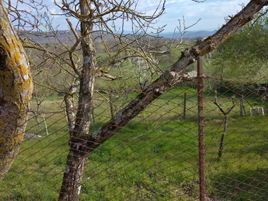 Immagine 49 di Villetta a schiera in vendita  in san martino a Bucine